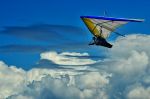 Partners in Flight - Ron Willems Partners in Flight - Ron Willems