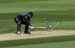 Clean bowled - Rob Dally Clean bowled - Rob Dally