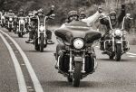The Ride - Allysa Carberry The Ride - Allysa Carberry