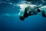 Swimming with humpback whales by John Ford
3rd Place