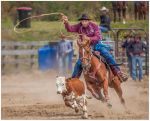 Calf v Cowboy by Chris Duggan