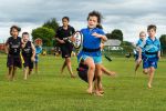 To the Try Line by Jo Curtis