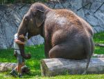 My friend by Martin Sanders