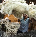 WINNER: Throwing The Fleece by Anne Lambe