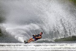 1st Place - "A Shower Of...." by Bob McCree FPSNZ