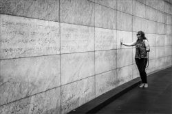 Everyday They Remember by Shona Kebble APSNZ