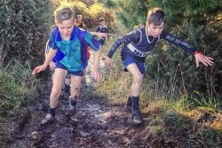 Negotiating the Mud_Alan Ritchie